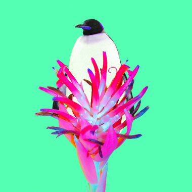 Çağdaş sanat kolaj. Penguen çiçek metamorfoz çok az hayvan eğlence içinde sanat