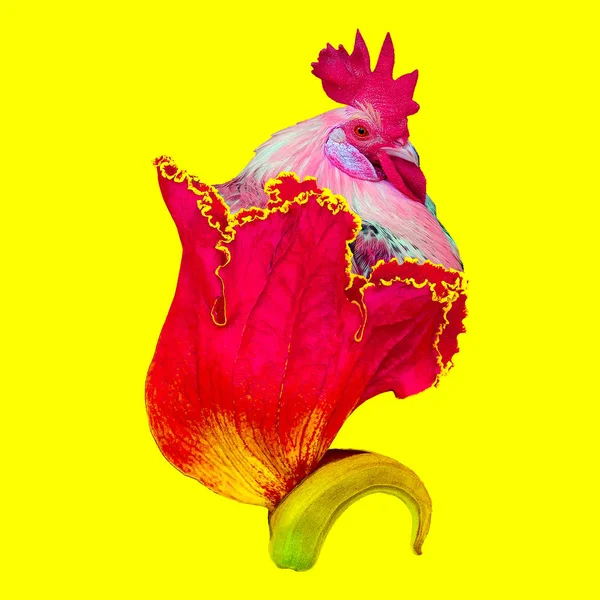 Collage Współczesnej Sztuki Kutas Kwiat Metamorfozy Minimalne Sztuka — Zdjęcie stockowe