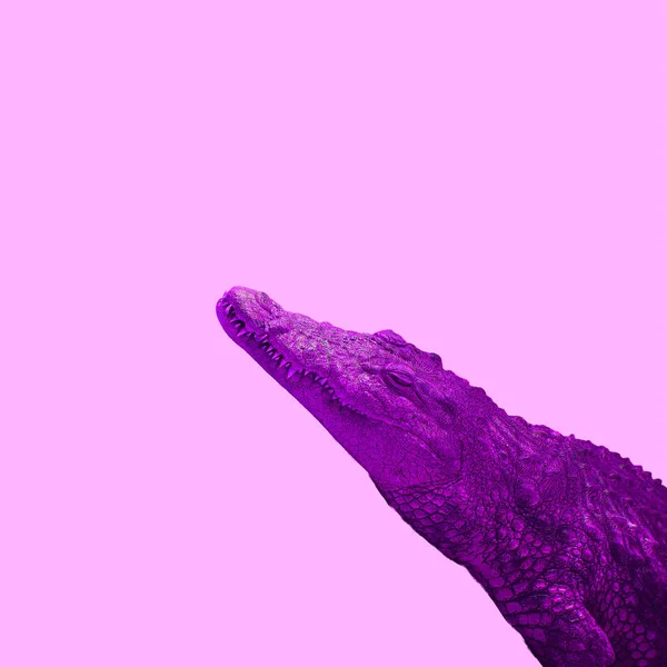 Arte Colagem Contemporânea Mínima Crocodilo Cor Vida Conceito Colorido — Fotografia de Stock