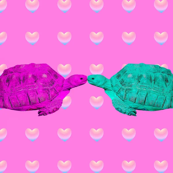 Contemporary art collage. Turtles in love. Everybody needs kisses concept