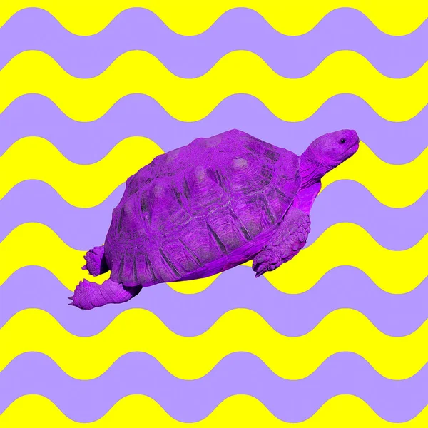 Minimalne Collage Współczesnej Purple Turtle Kolorowy Ocean Vibes — Zdjęcie stockowe