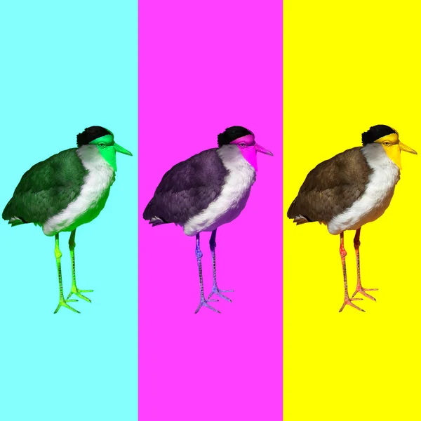 Collage Contemporáneo Mínimo Las Aves Tropicales Mezclan Conce Colorido — Foto de Stock