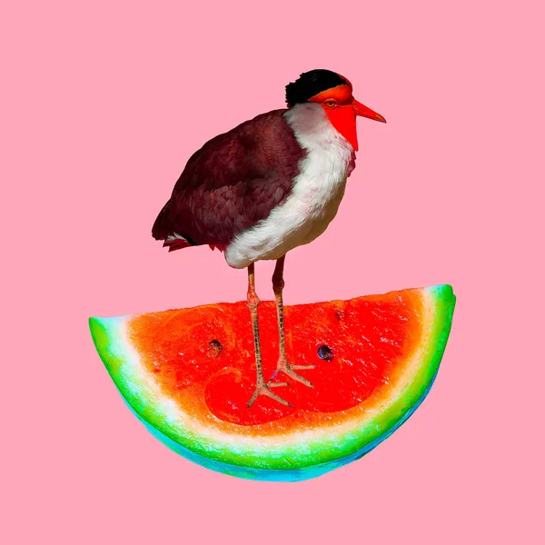 Düzeyde Çağdaş Kolaj Sanat Karpuz Tropik Kuş Tek Boynuzlu Hayat — Stok fotoğraf