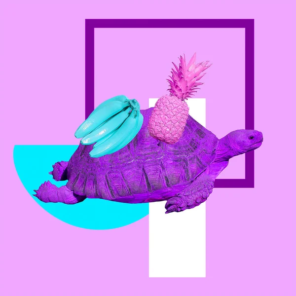 Minimale Hedendaagse Collage Art Kleurrijke Tropische Vruchten Schildpad — Stockfoto