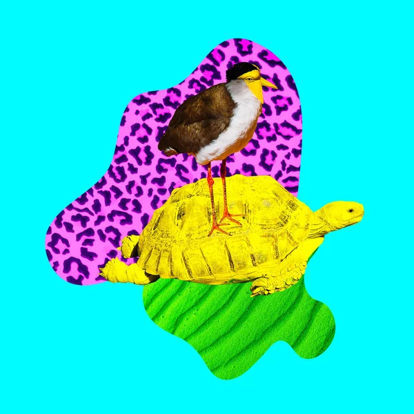 Arte Colagem Contemporânea Mínima Vibrações Animais Tropicais Tartaruga Pássaro Amizade — Fotografia de Stock