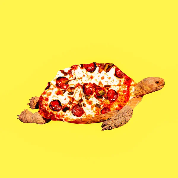 Minimal Contemporary Collage Art Turtles Pizza Lover — Stock Photo, Image