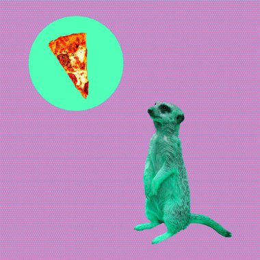 Çağdaş görsel sanat kolaj. Pizza bağımlısı çöl faresi