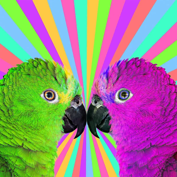 Minimal Contemporary Collage Art Colorful Parrots Life Colorful Concept — Stock Photo, Image