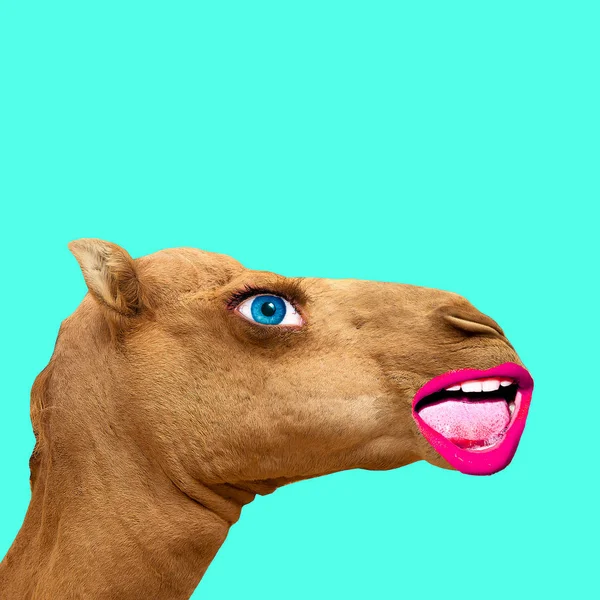 Minimale Hedendaagse Hipster Collage Art Camel Man Leuke Kunst — Stockfoto