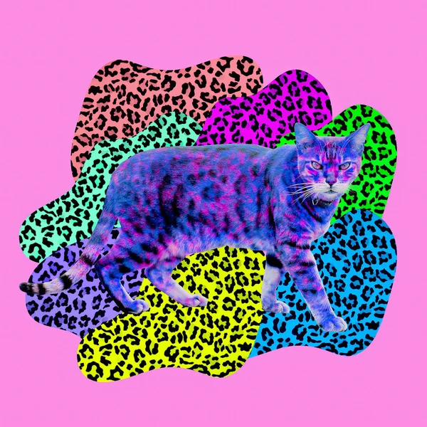 Minimální Koláž Současného Umění Cat Leopard Tisk Konceptu — Stock fotografie