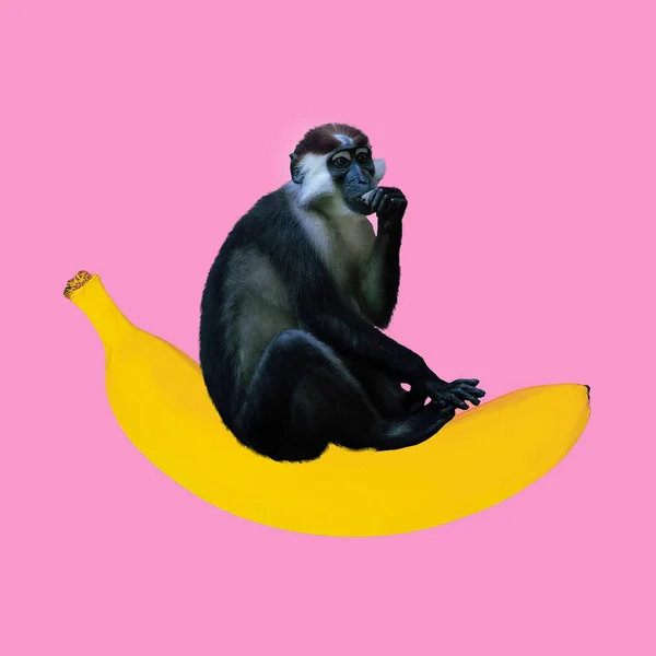 Minimal Contemporary Collage Art Monkey Sitting Banana Fun Art Stock Image