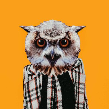 En az düzeyde çağdaş kolaj sanat. Hipster baykuş kareli ceket. Sanat eğlence