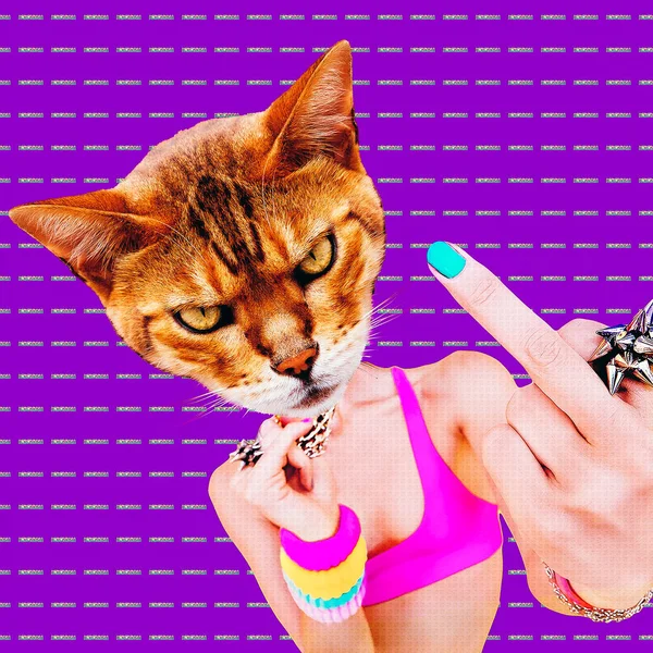 Minimal Contemporary Collage Art Aggressive Hipster Cat — Stock Photo, Image