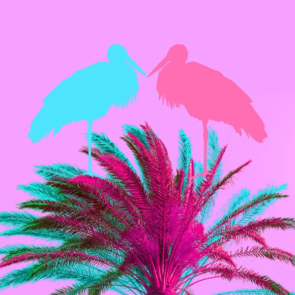 Minimale Zeitgenössische Collage Kunst Tropische Tierstimmung Farbtrend — Stockfoto
