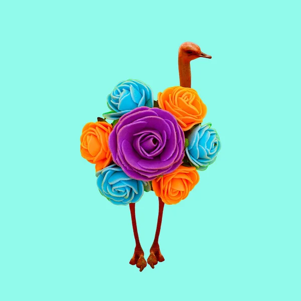 Minimal Contemporary Collage Art Ostrich Rose Visual Fun Art — Stock Photo, Image