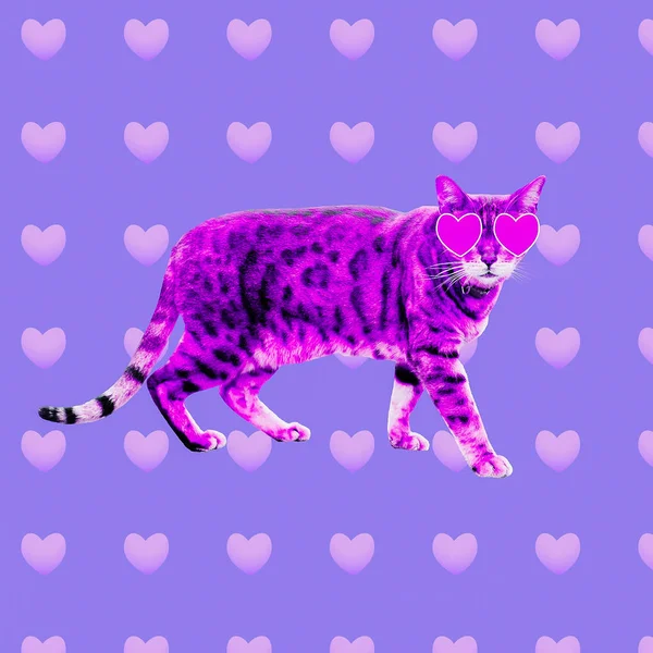 Contemporary art collage. Cat in love. Valentine\'s day concept
