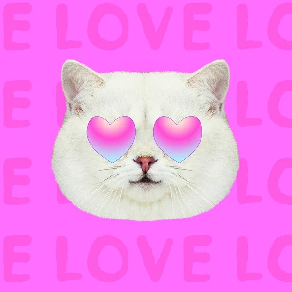 Collage Arte Contemporáneo Gato Blanco Enamorado Concepto San Valentín — Foto de Stock