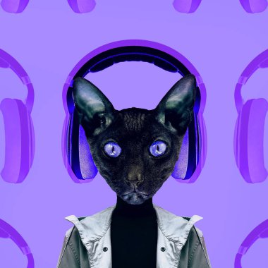 Çağdaş sanat kolaj. Müzik konsepti. Hipster kedi Dj. mor vibes
