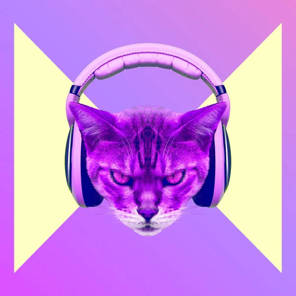 Contemporary art collage. Music concept. Aggressive cat DJ