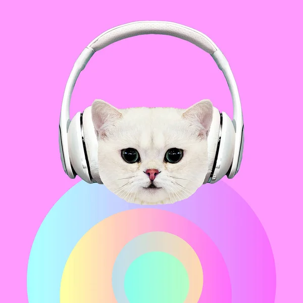 Contemporary Art Collage Music Concept Funny Kitty Pastel Pink Vibes — Stock Photo, Image