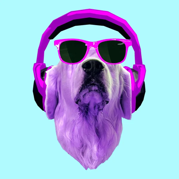 Contemporary art collage. Dog in headphones and sunglasses. Dj p