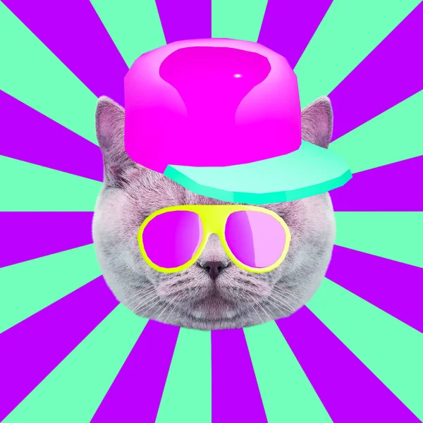 Contemporary art collage. Hipster cat in a 3 d cap and sunglasses. Minimal fun art