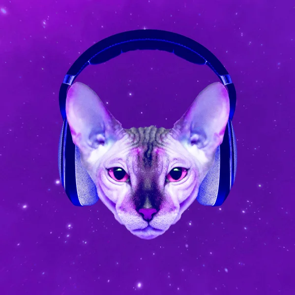 Contemporary art collage. Music concept.  Space Cat DJ