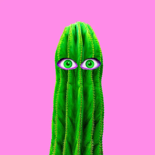 Collage Arte Contemporáneo Cactus Con Ojos Humanos Diversión Mínima Arte —  Fotos de Stock