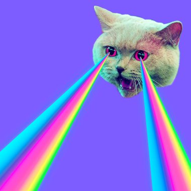 Gözlerinden gökkuşağı lazerler ile kötü kedi. En az kolaj moda kavramı