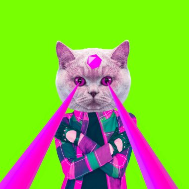 Moda hippi kedi gözleri dan lazerler ile. Hayvan eğlence kolaj sanat