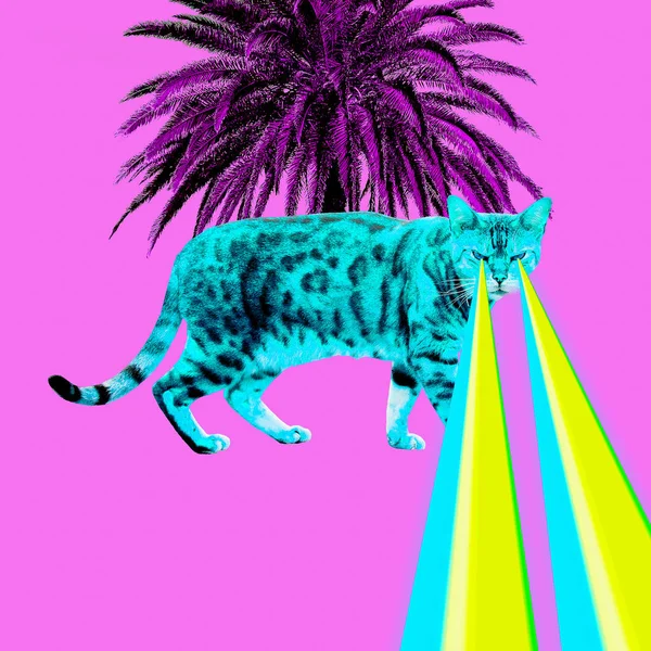 Tropiska Leopard Katt Med Lasrar Från Ögonen Minimal Collage Fashion — Stockfoto