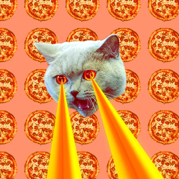 Pizza Addict Cat Lasers Eyes Animal Fun Collage Art — Stock Photo, Image