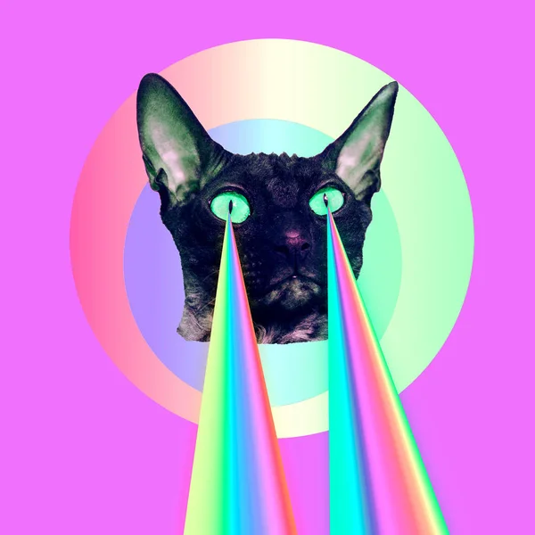 Fashion Cat Rainbow Lasers Eyes Minimal Collage Funny Art — Stock Photo, Image