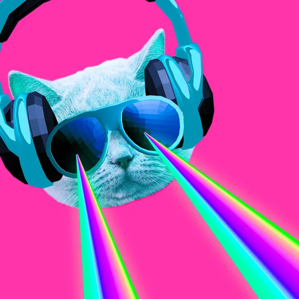 Party Katze Mit Regenbogenlasern Aus Den Augen Minimale Collage Clubbing — Stockfoto