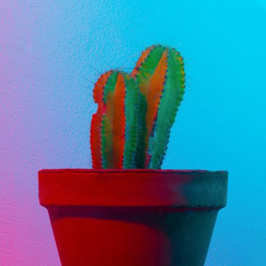 Neon kaktüs. Kaktüs minima sanat. Kaktüs moda fikir