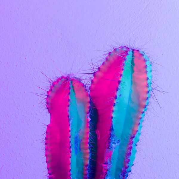 Neon Kaktus Kaktus Minimalne Kaktus Moda Pomysł — Zdjęcie stockowe