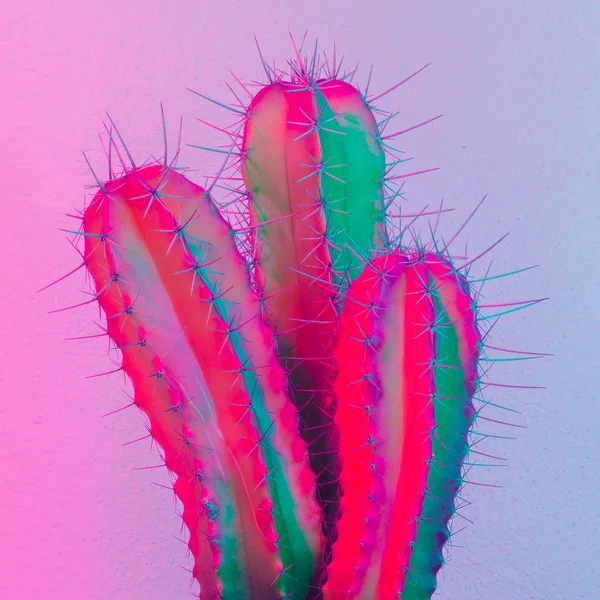 Cactus Creativo Neón Cactus Diseño Minimalista Cactus Idea Moda — Foto de Stock