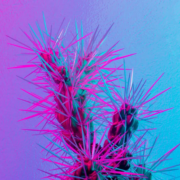 Mode Neon Cactus Cactus Minimal Design Cactus Älskare Koncept — Stockfoto