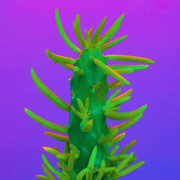 Neon Creative Cactus Cactus Minimal Art Cactus Fashion Concept — Stock Photo, Image