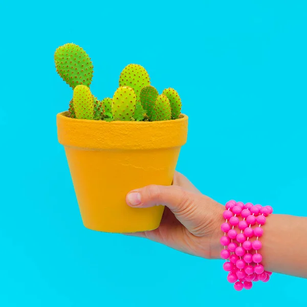 Hand Mit Modeaccessoires Hält Kakteen Süßigkeiten Minimale Konzeptkunst — Stockfoto