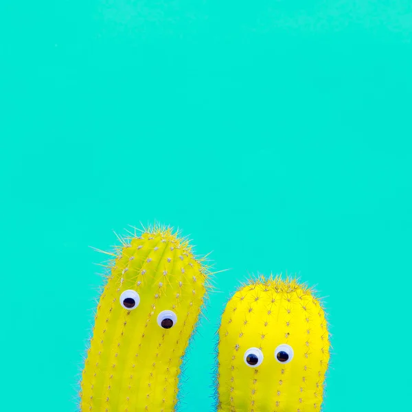 Zwei Kaktus Hipster Mit Augen Witzige Süßigkeiten Minimale Konzeptkunst — Stockfoto