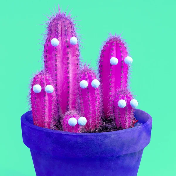 Família Hipster Roxo Cactus Arte Criativa Mínima — Fotografia de Stock