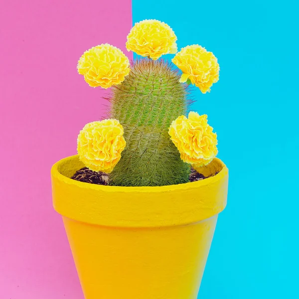 Cactus Nei Fiori Moda Arte Minima — Foto Stock