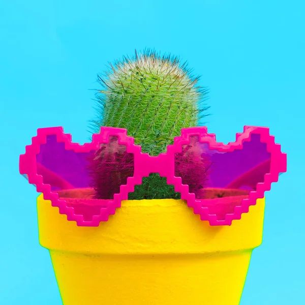 Cactus Concetto Amante Delle Vacanze Con Eleganti Occhiali Sole Cuori — Foto Stock