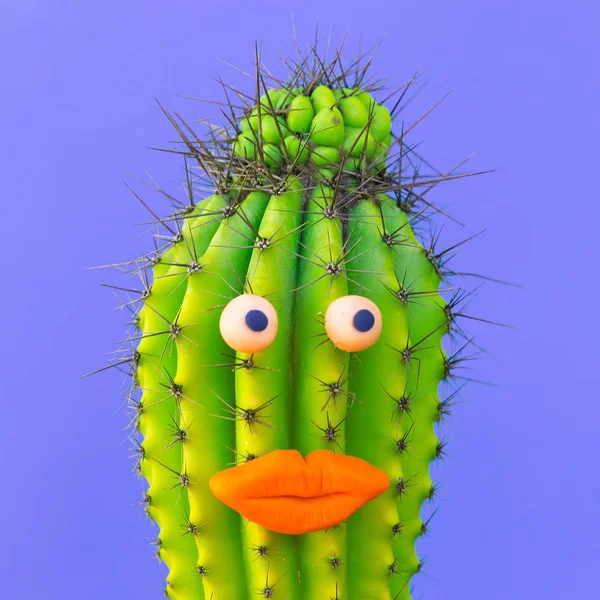 Kaktusz Csípő Ember Érzéki Ajkak Szemek Félénk Úriember — Stock Fotó