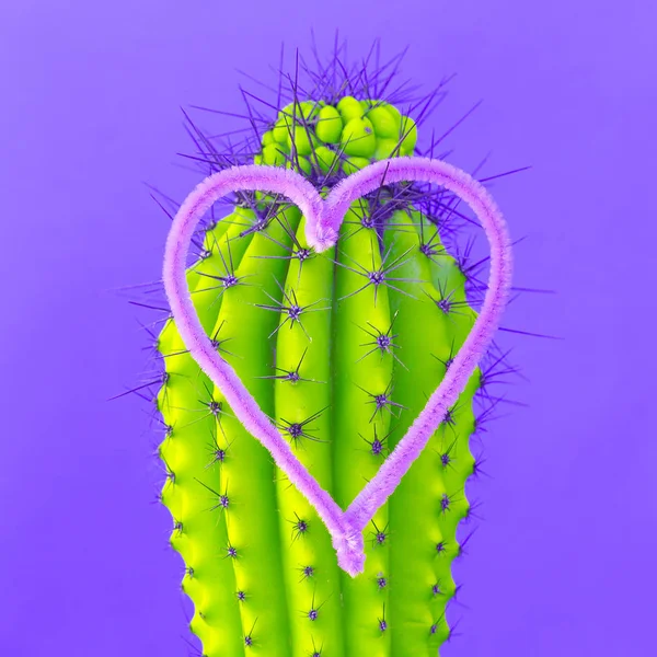 Cactus Corazón Amante Los Cactus Arte Conceptual Mínimo — Foto de Stock