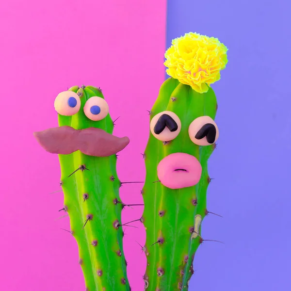 Hipster Cacti Couple Amoureux Concept Couleurs Bonbons Créatif Cactus Fun — Photo
