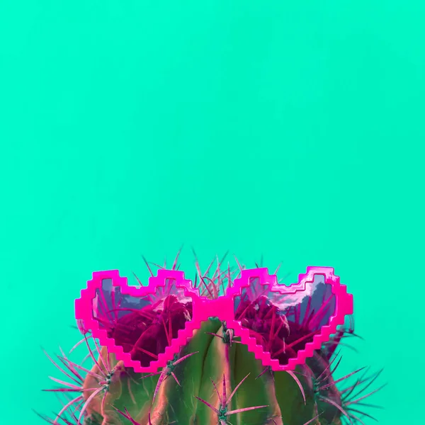 Cactus Elegantes Corazones Gafas Sol Arte Creativo Cactus — Foto de Stock