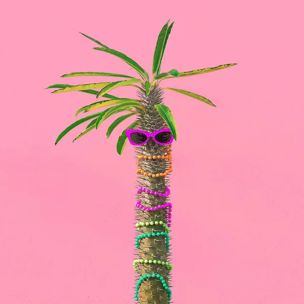 Пальма Стильний Літніх Сонцезахисні Окуляри Jewelryand Рожевий Стіну Мода Відпустку — стокове фото