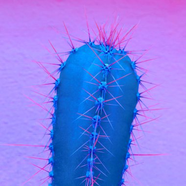 Neon kaktüs tasarım. Renkli yaratıcı sanat. En az